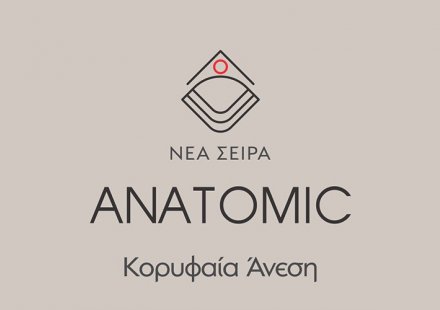 Anatomic